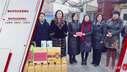 衡水市女企业家协会 为建设美丽湖城 建言献策_社会_网