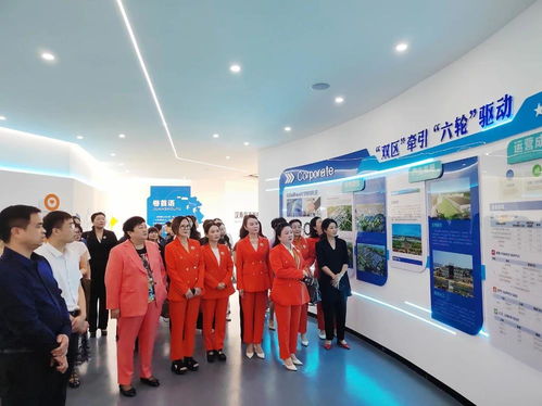 梧桐根叶茂 翘首凤归来 常德市女企业家商会 金秋巾帼行 走进汉寿