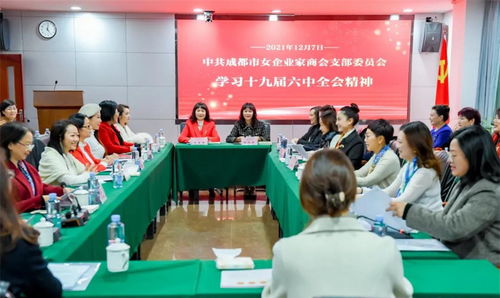 成都市女企业家商会党支部组织学习党的十九届六中全会精神